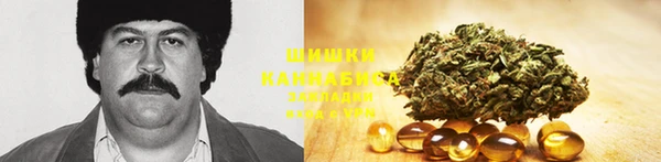 винт Новозыбков