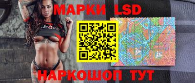 стафф Берёзовский