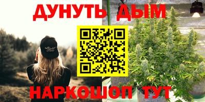 индика Абинск