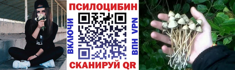 Галлюциногенные грибы Magic Shrooms  hydra маркетплейс  Боровичи 
