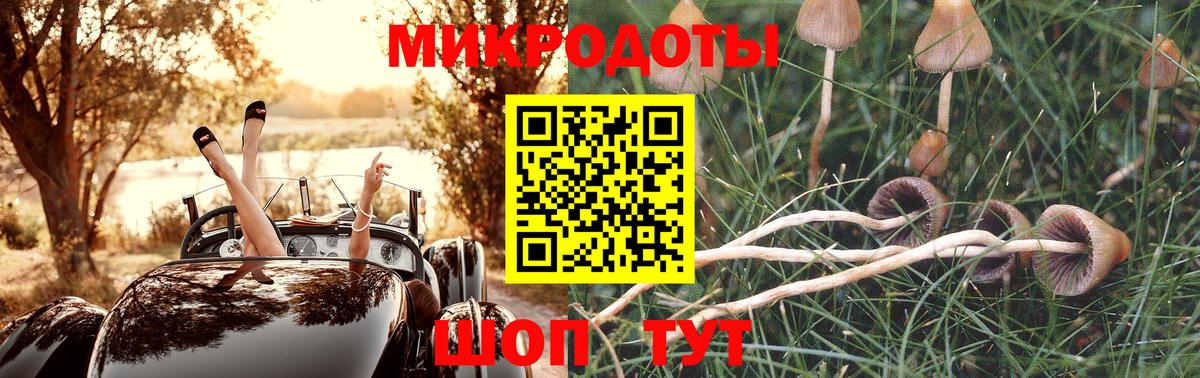 Боровичи  где можно купить   Вход с VPN  Псилоцибиновые грибы ЛСД 