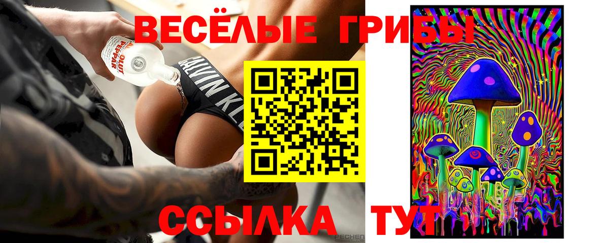 Псилоцибиновые грибы мицелий Боровичи