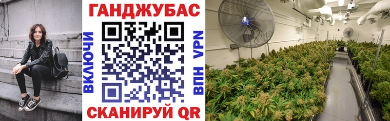 хочу   Боровичи  omg рабочий сайт  Конопля ГИДРОПОН 